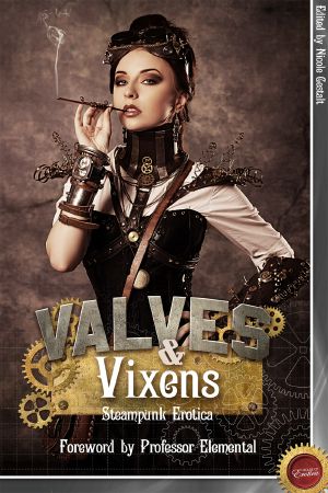 [Valves & Vixens 01] • Valves & Vixens